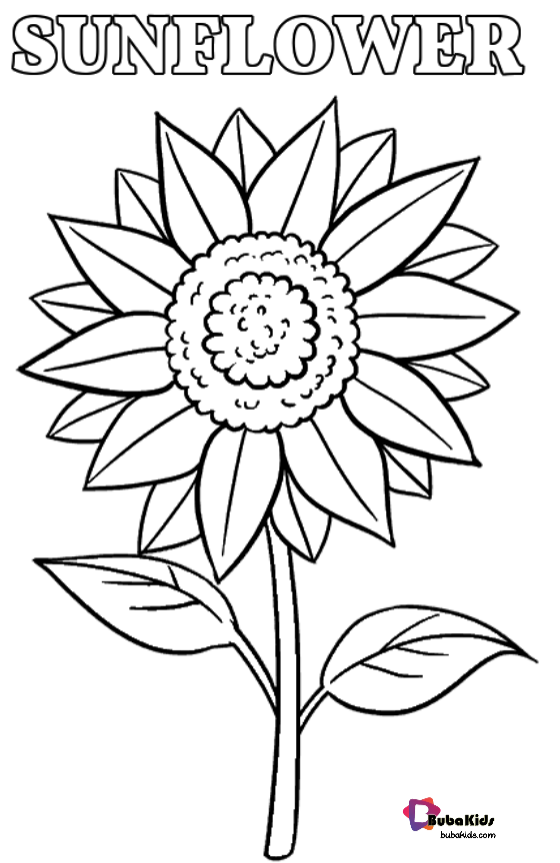 Sunflower coloring page bubakids