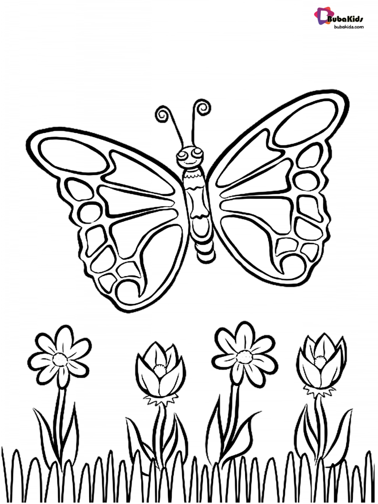 butterfly and flowers coloring page
