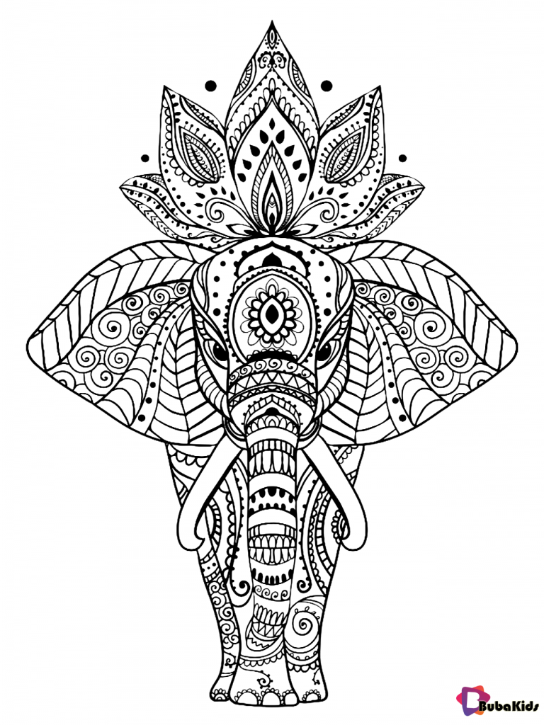Animal elephant mandala coloring page for kids and adults
