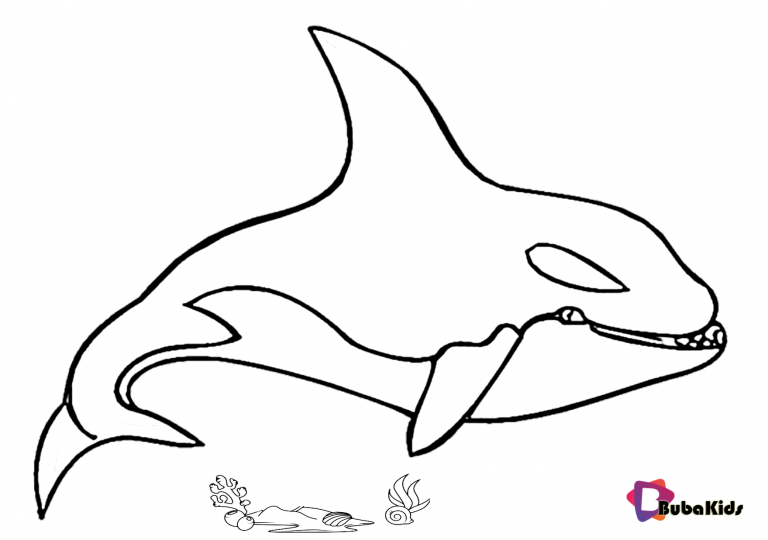 Killer whale coloring page | BubaKids.com