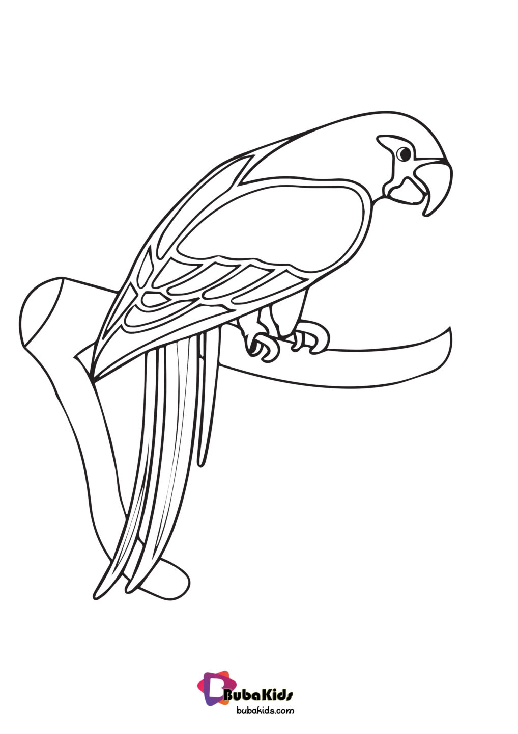 parrot animal coloring page for kids