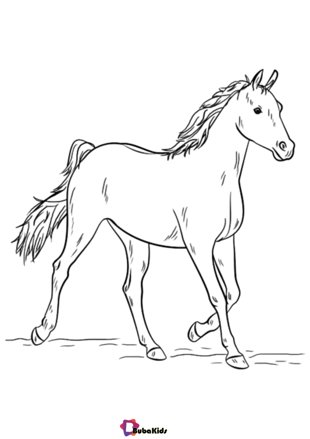 animal horse coloring pages