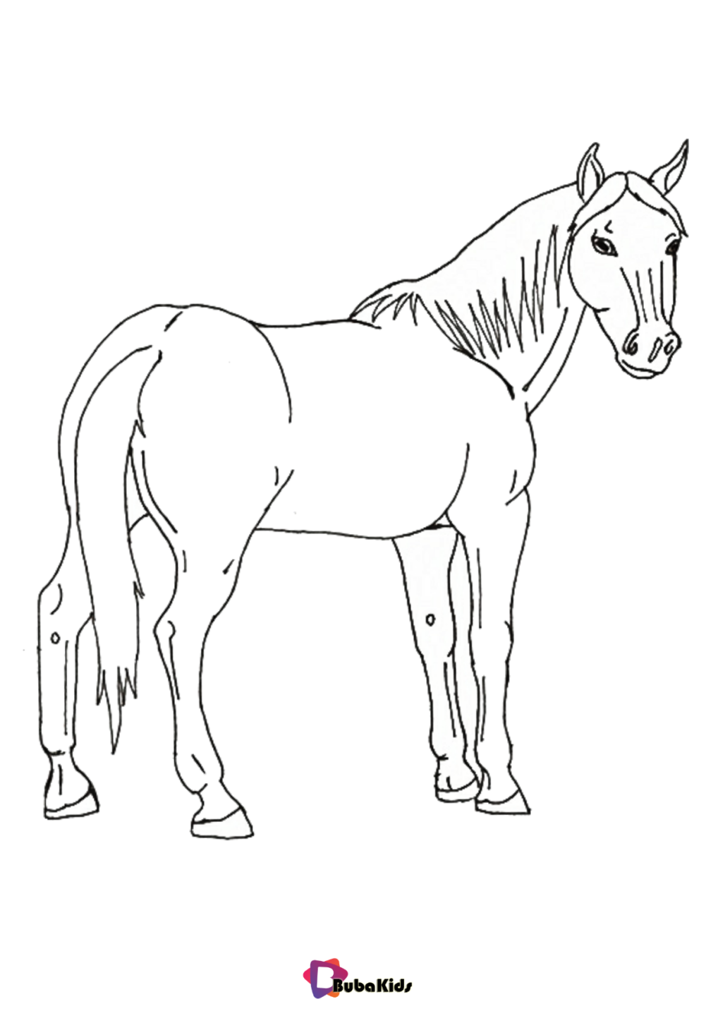 horse animal coloring pages