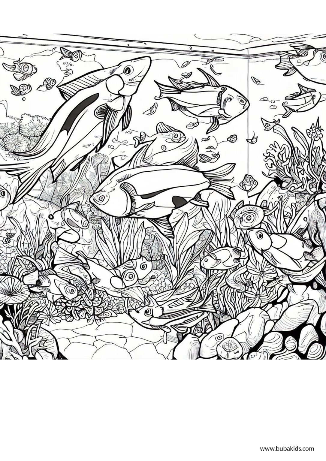 Aquarium coloring page from Fish - Aquarium Coloring Page From Fish Category 1086x1536 